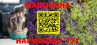 гидра Краснодар