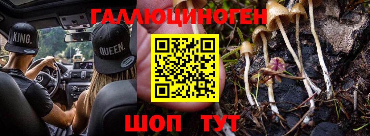 Галлюциногенные грибы GOLDEN TEACHER Тула